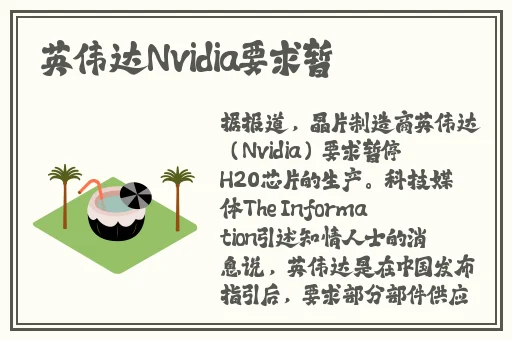 四季app怎么看