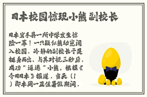 双人打扑克运动的视频大全声音